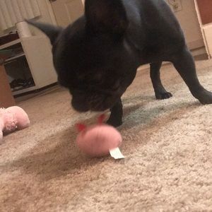 Meet your Posher, Kathryn